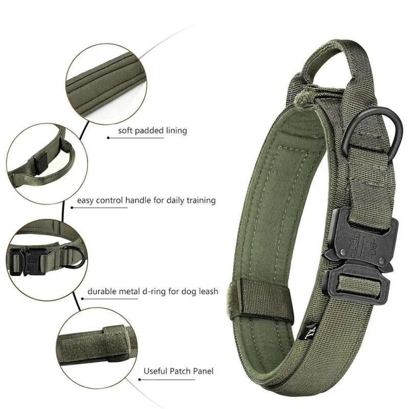 Pet Dog Collar Leash