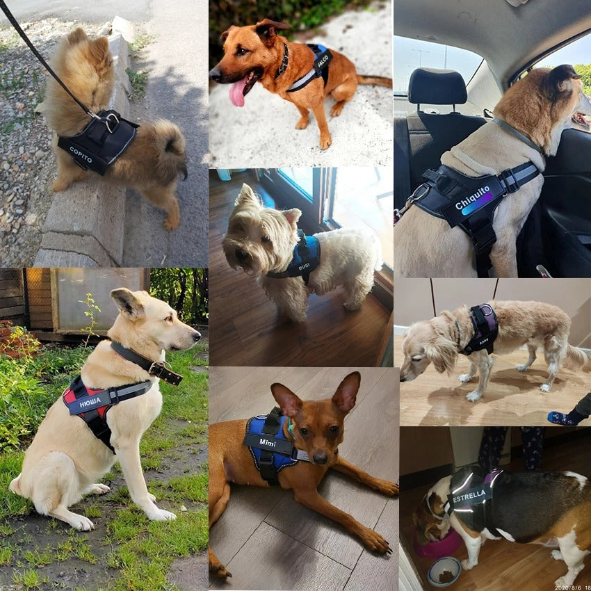 Dog Harness NO PULL