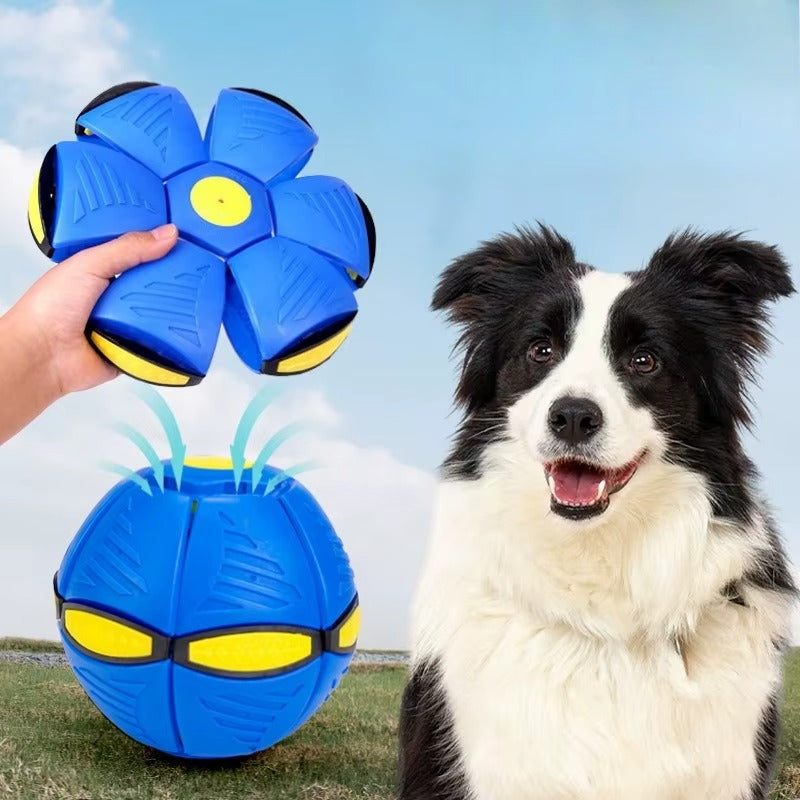 Pet UFO Ball – Interactive Dog Toy, Outdoor Training & Fun Deformable Ball