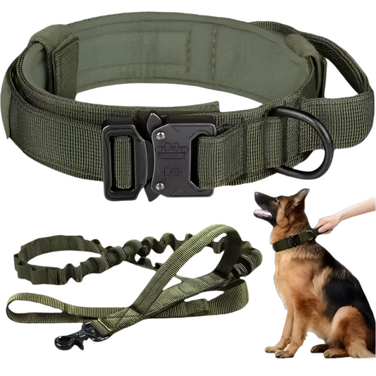 Pet Dog Collar Leash