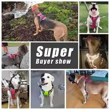 Dog Harness No Pull Breathable Reflective