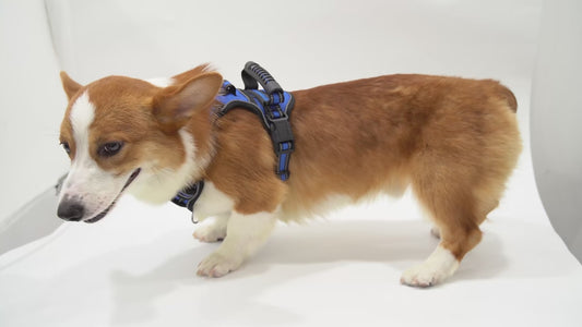 Dog Harness No Pull Breathable Reflective